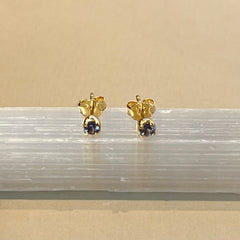 Sumi - stud earrings gold tanzanite December